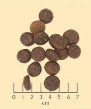 Wolfsblut-Blue-Mountain 2 kg