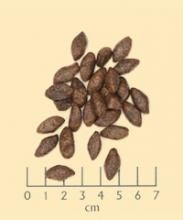 Wolfsblut-Alaska-Salmon --------------------- kg