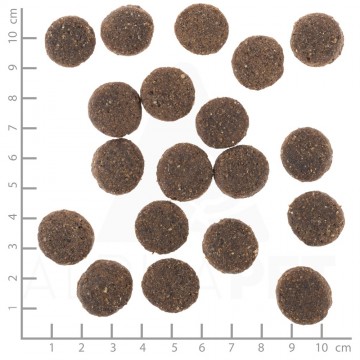 Dsc2922lineal2 range lamb senior 1