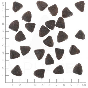 Dsc2926lineal2 1 golde goose 1