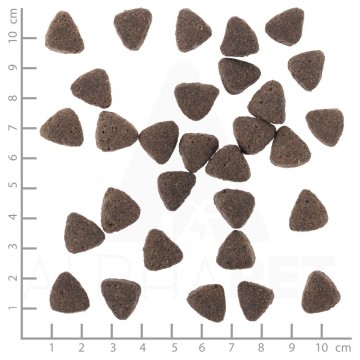 Dsc2929lineal4jpg wester cape 1