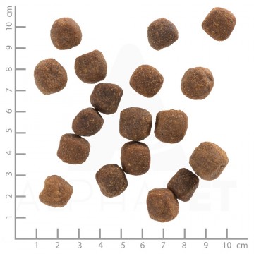 Wb761040wolfsblutwildduckadult4260262761040dsc0458lineal7 2