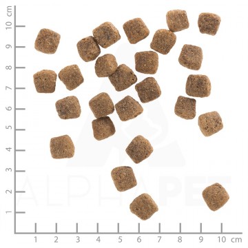 Wb761095wolfsblutwildducksenior 0