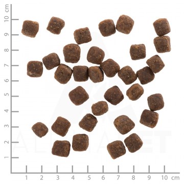 Wb761170wolfsblutwildducksmallbreed4260262761170dsc0475lineal1 0