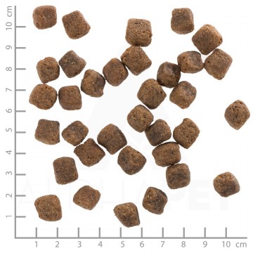 Wb761255wolfsblutblackbirdadult4260262761255dsc0486lineal6 0