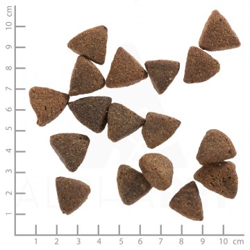 Wb761828wolfsblutblackbirdpuppylargebreed4260262761828dsc0493lineal