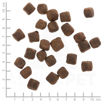 Wb762023wolfsblutdarkforestadult4260262762023dsc0524lineal1