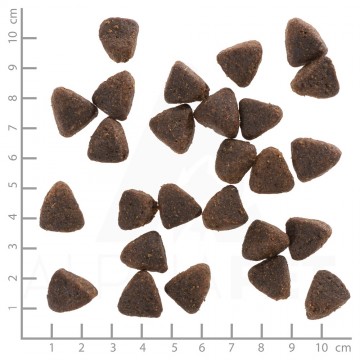 Wb762320wolfsblutjackrabbitadult4260262762320dsc0567lineal5 1