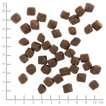 Wb765123wolfsblutblackbirdpuppy4260262765123dsc0503lineal1 1 0