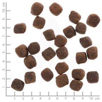 Wb765789wolfsblutdeepgladeadult4260262765789dsc0529lineal5 0