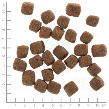 Wb766779wolfsblutwildgameadult4260262766779dsc0589lineal5