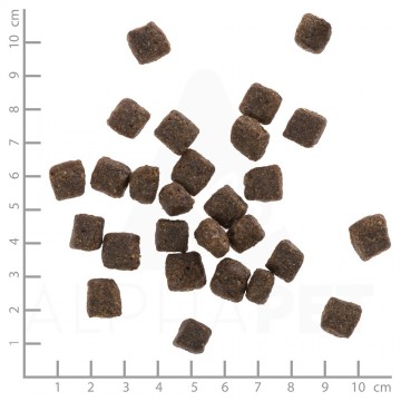 Wolfsblutblackbirdsenior4260262761293dsc0497lineal1 1 1