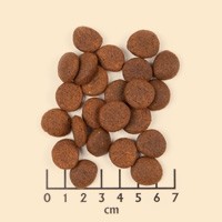 WOLFSBLUT-BLACK-MARSH-12.5-Kg