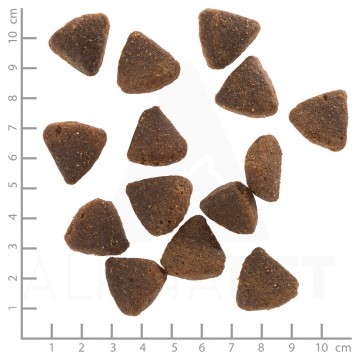 Wolfsblutwildduckpuppylargebreed4260262761859dsc0466lineal 1 0